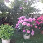 Rose Garden Apartment Bovec *