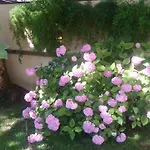 Rose Garden Apartment Bovec *