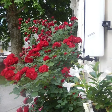Rose Garden Apartment Bovec * بوويتش