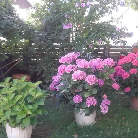 Rose Garden Apartment Bovec *