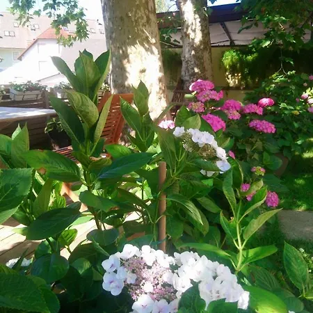 Rose Garden Apartment Bovec