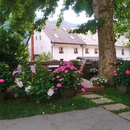 公寓 Rose Garden Apartment Bovec *