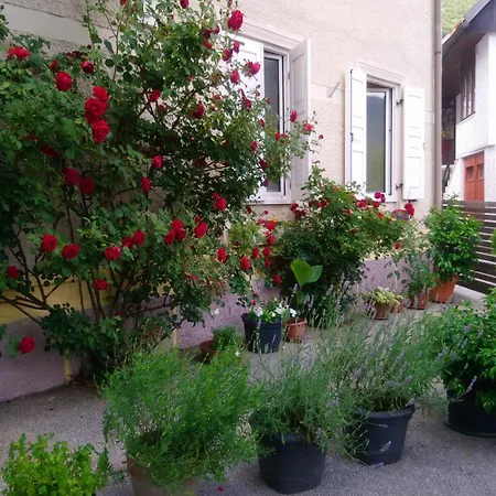 Maja Zevnik Garden Apartamento Bovec
